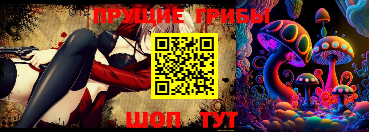 Галлюциногенные грибы Psilocybe Нурлат