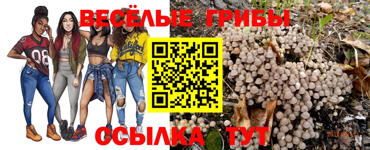Нурлат  Псилоцибиновые грибы мицелий  Вход с VPN 